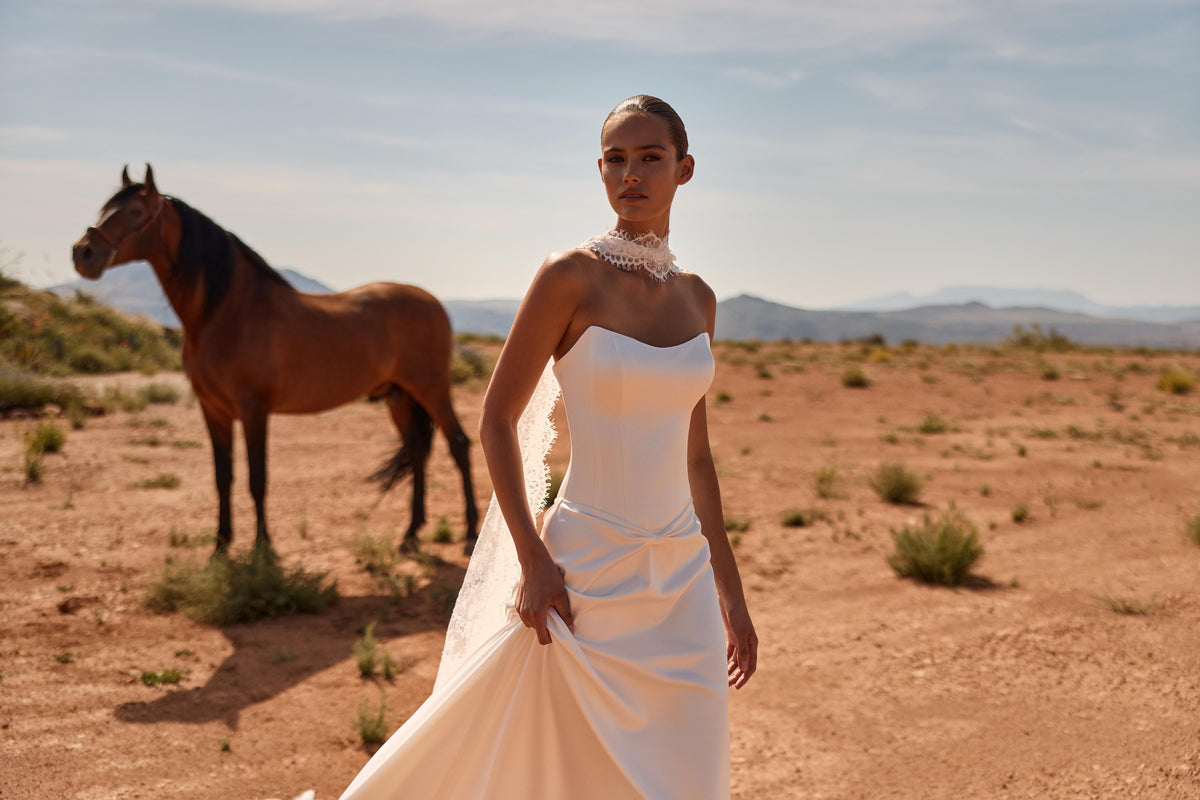 VIDETTE